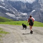 Prirodzená harmónia: Prechádzky v prírode so psom a ich pozitívny vplyv na naše zdravie