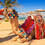 Hurghada - Fakty a rady Hurghada