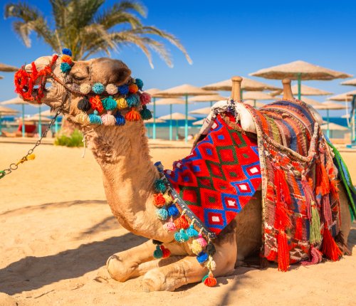 Hurghada